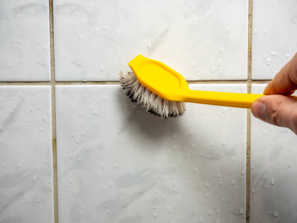 Best Same-Day Mold Removal  in Spring, TX